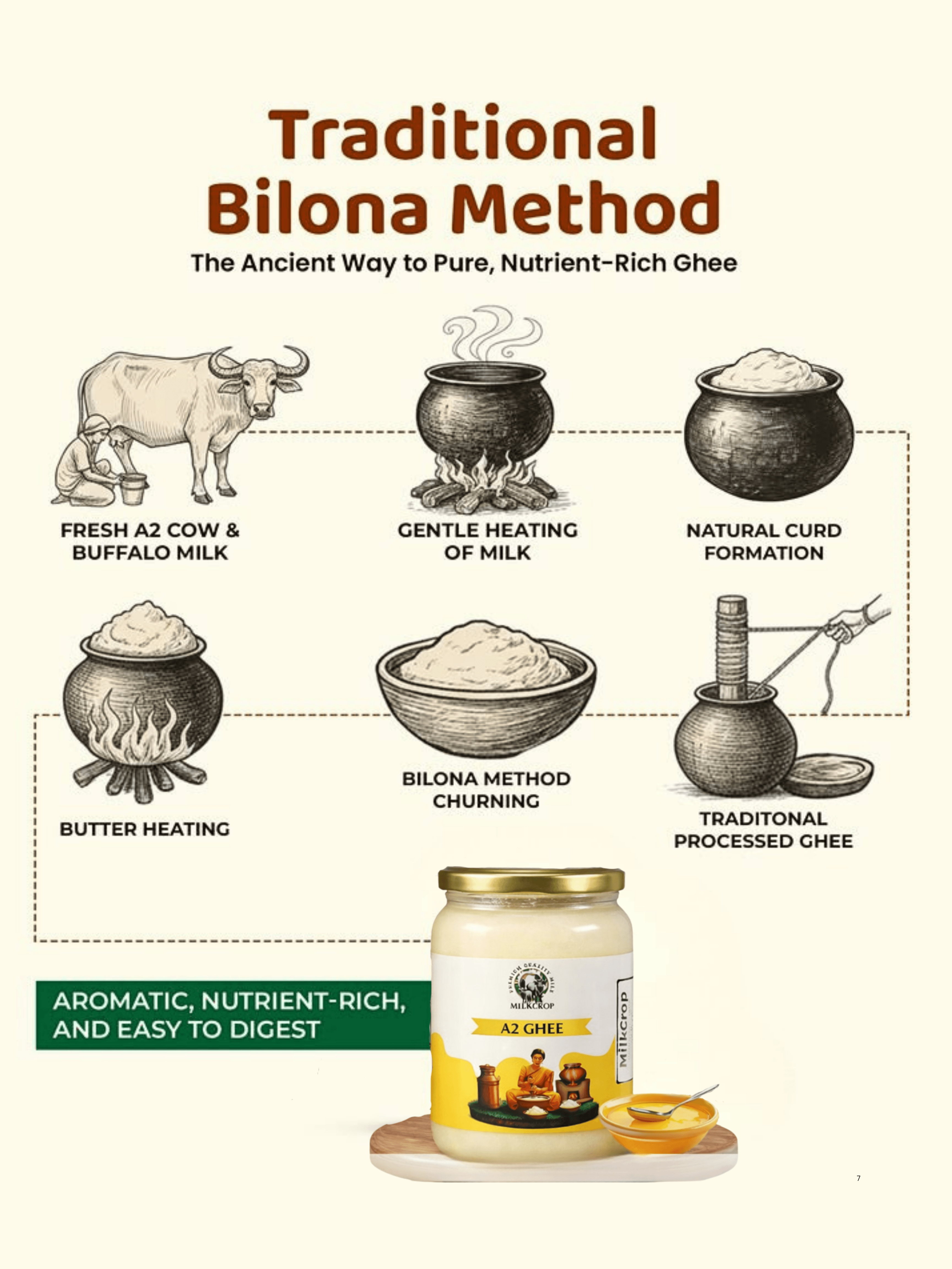Traditional Bilona Method — 6-step illustrated infographic: fresh milk, gentle heating, curd formation, bilona churning, butter heating, traditional ghee