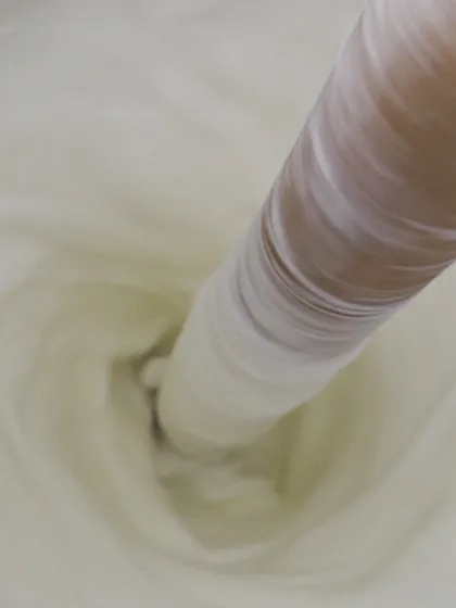 Curd being churned with a wooden churner until butter separates